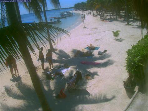 akumal bay webcam|Live Webcam From Akumal Bay 